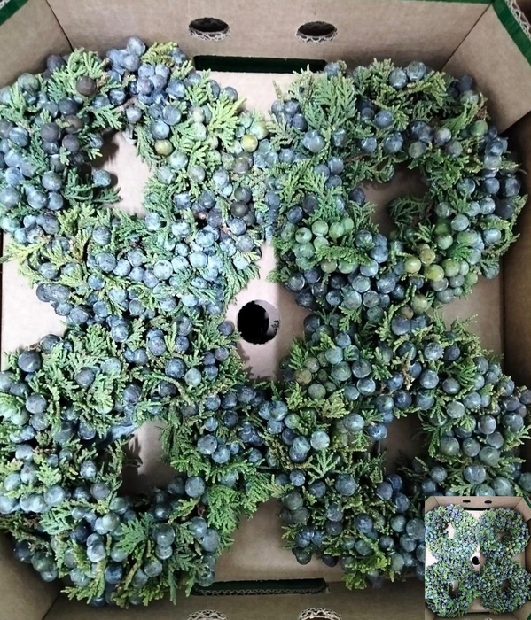 <h4>SIERFRUIT KRANS H%</h4>