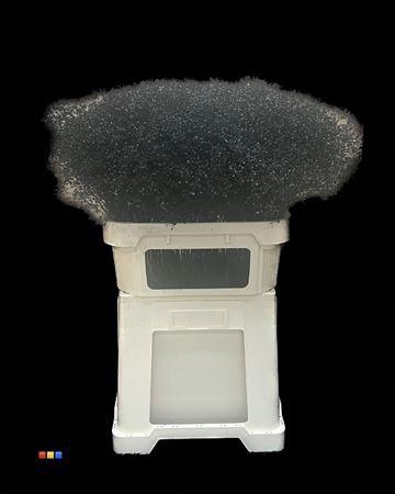 <h4>Gyps Million Star Black</h4>