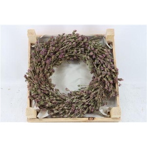 WR THYM NATUREL 30CM