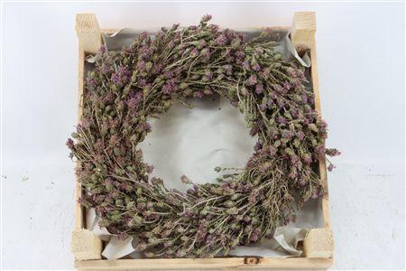 <h4>WR THYM NATUREL 30CM</h4>