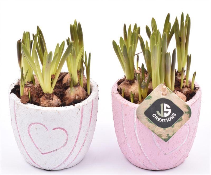 <h4>Cement pot met hart decor mix 10cm</h4>