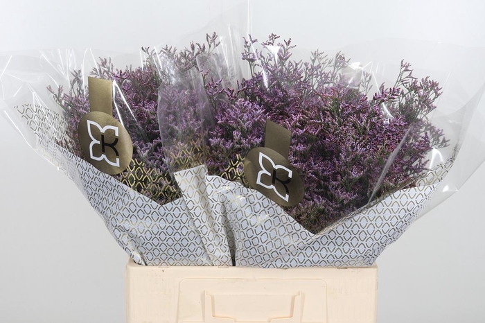 <h4>Lim Saf Pink Sky</h4>