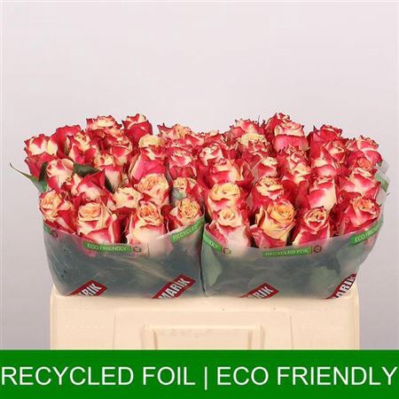 <h4>Rosa grootbloemig Chapeau</h4>