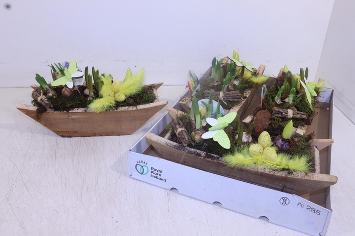 <h4>ARR BOL KNOLGEWAS</h4>