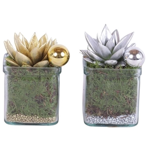 Christmas Arr. Indoor Accuglas Square Ø08cm 1PP