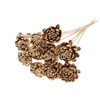 Shola New Beauty Rose Ø8cm on stem Antique Gold