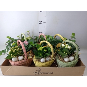 Planten ..in schaal L%