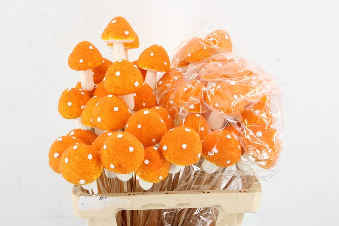 <h4>Stick Sugar Mushroom 9cm Orang</h4>