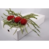 Banksia Speciosa Red