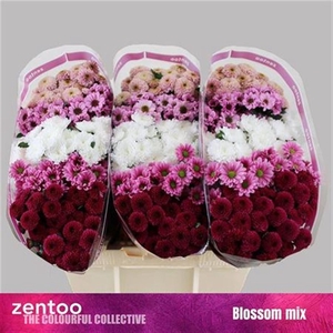 Sant Sweet Mixed