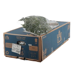LEDERVAREN EXTRA VACUUM TAK BLUE BOX