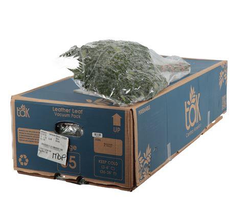 LEDERVAREN EXTRA VACUUM TAK BLUE BOX