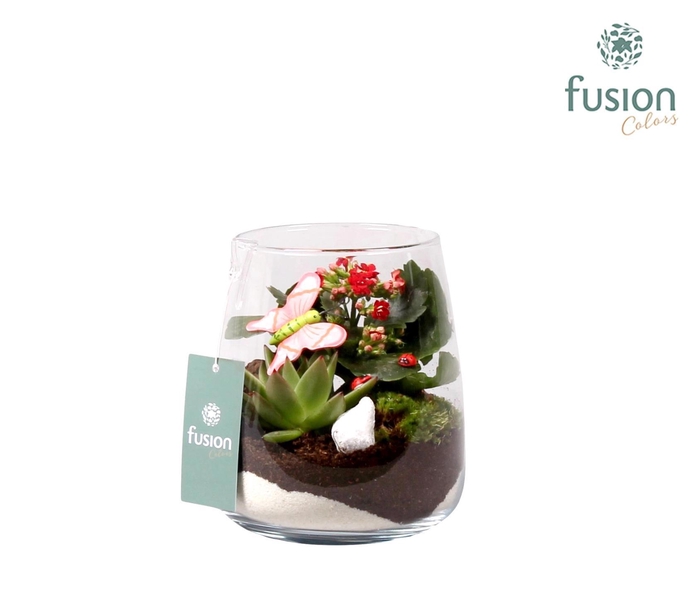 <h4>Glas alzada met arrangement en vlinders</h4>