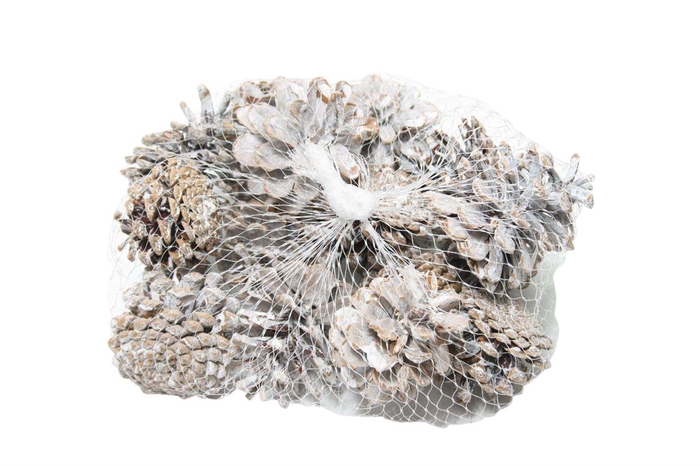 Pinecone Oostenrijker 15Pcs