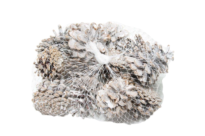 Pinecone Oostenrijker 15 Pcs