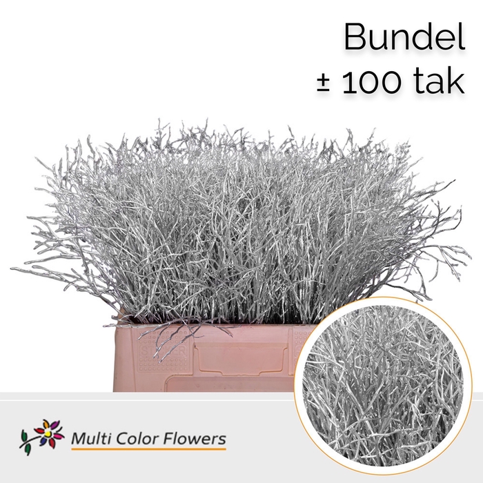 <h4>Heidelbeer (Bundel) Zilver</h4>