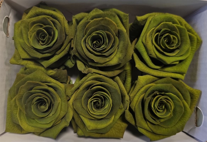 Ro Pres Classic Green Olive