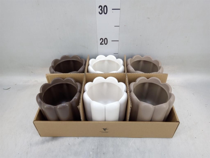 <h4>Pot   ...Keramische H%</h4>