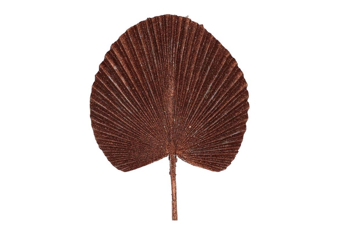 Pick Shine Fan Scottish Copper 66cm Nm