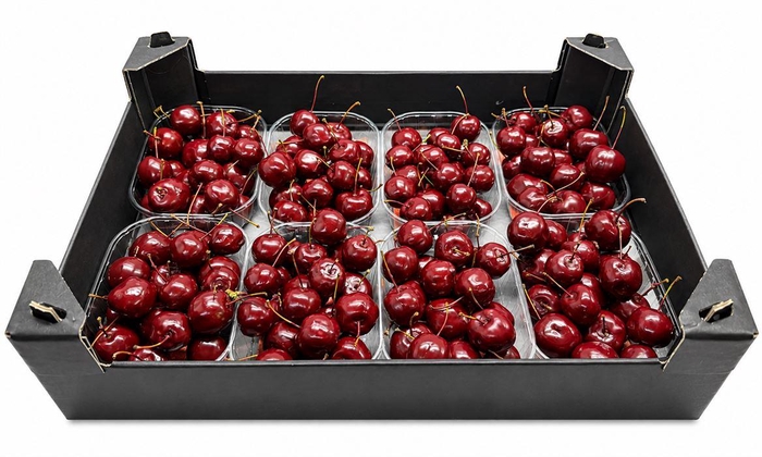 <h4>Waxmalus Rood Wijn</h4>