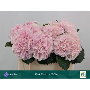 HYDR M MY PINKTOU RZ