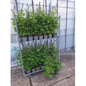 DELP EL MAG FOUNTAIN