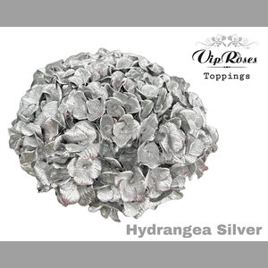 HYDR M SILVER