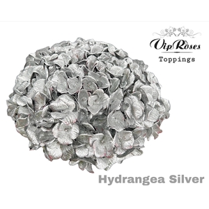 Hydr M Silver 80cm