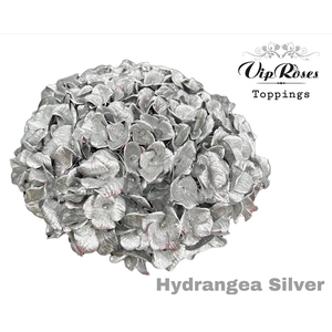 HYDR M SILVER 80cm