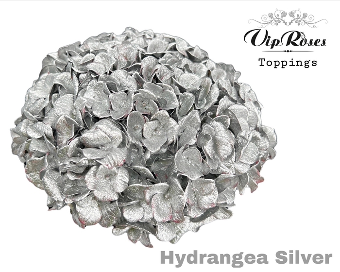 <h4>Hydr M Silver 80cm</h4>