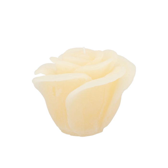 <h4>Candle Roos Ivory 11x9cm</h4>