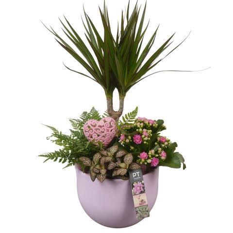 <h4>Arr.    Planten  L%</h4>