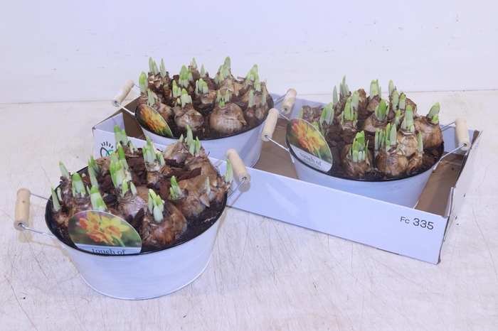 <h4>ARR N TETE A TETE</h4>