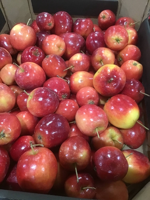 APPEL GROEN (LAK)