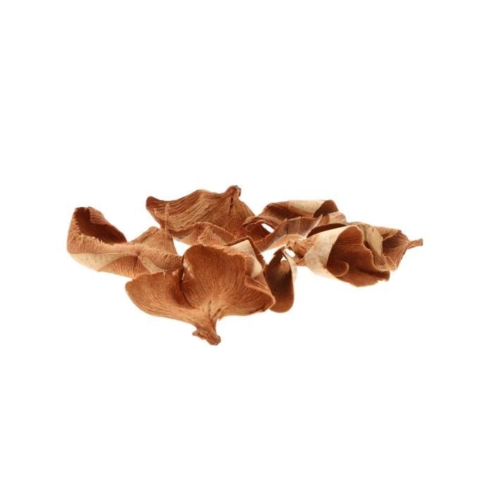 <h4>Coco Ruffles 50g L8W7H12</h4>