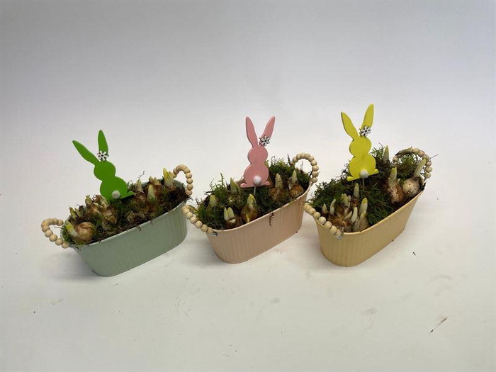 <h4>0632 ZINK MINT OVAAL TETE</h4>