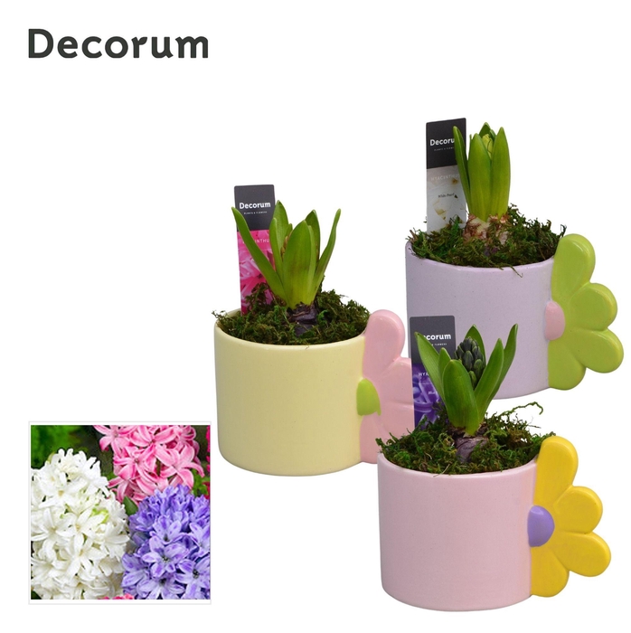 <h4>Hyacint Bloomie Mug HL15413 [LOVELY COLORS]</h4>