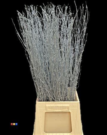 Betula / Berkentak Metallic Light Blue