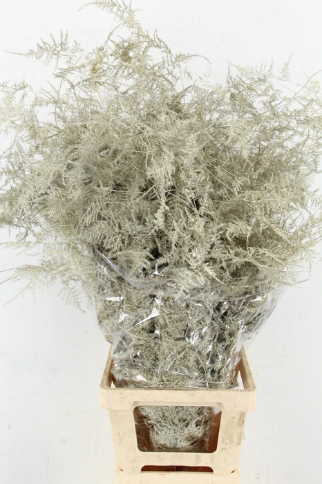 <h4>ASP OV KLB H%</h4>