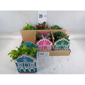 Arr.   Kamerplant Groen L%