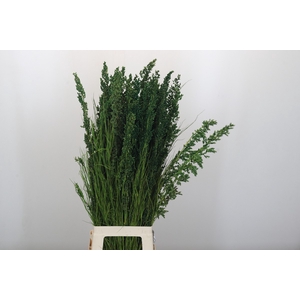 Bell Reed Male painted green