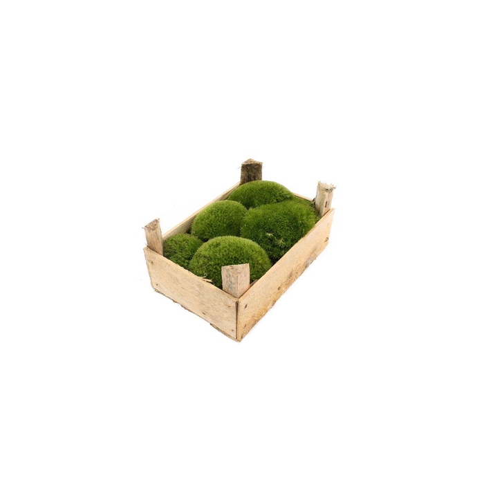 <h4>Mos Bolmos Consument X400</h4>