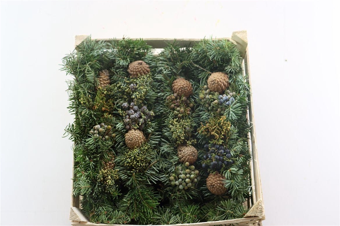 <h4>Wr Advent Guirlande 40 Cm</h4>