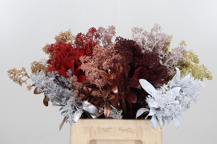 <h4>Skimmia Kl Bh Mix</h4>