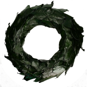 Wreath d80cm Magnolia leaves