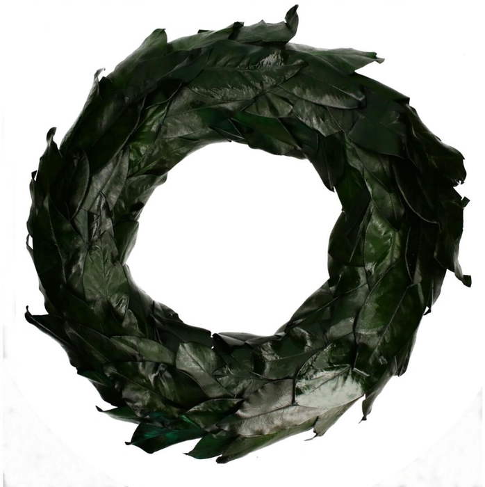 <h4>Krans d80cm Magnoliablad</h4>