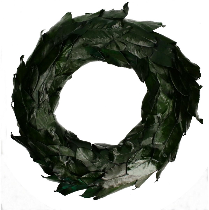 <h4>Krans d80cm Magnoliablad</h4>