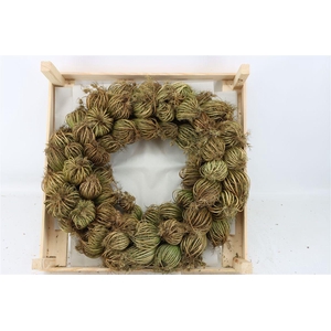 Wr Dille Zaaddoos Naturel 55cm