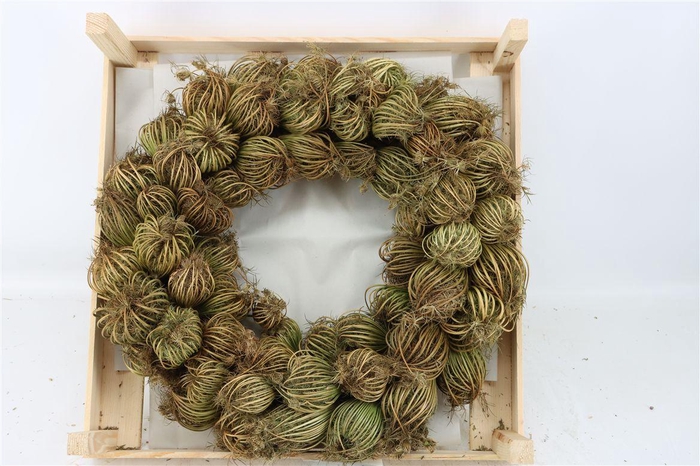 <h4>Wr Dille Zaaddoos Naturel 55cm</h4>
