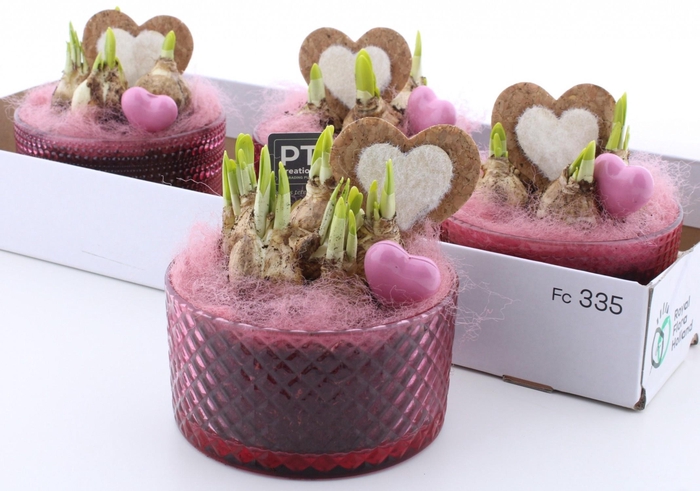 <h4>ARR N TETE A TETE</h4>